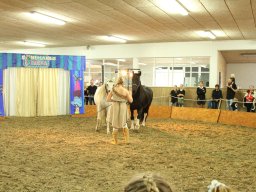 IMG_5191_web